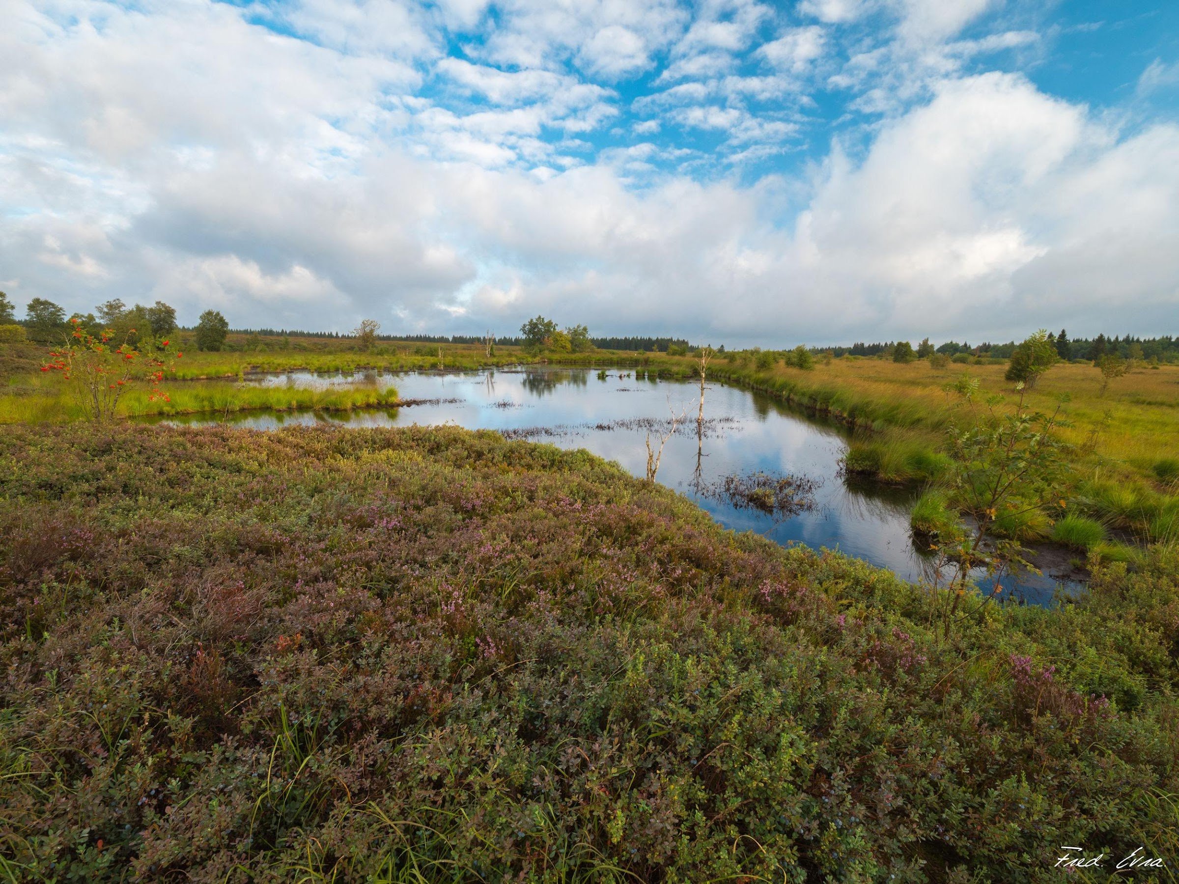 High Fens - Signal de Botrange (High Fens–Eifel Nature Park)